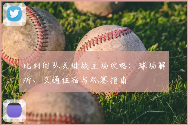 比利时队关键战主场攻略:球场解析、交通住宿与观赛指南
